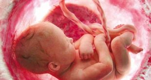 افزایش هوش جنین و 8 توصیه مهم در دوران بارداری