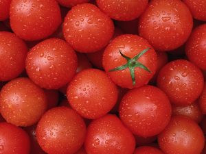 خواص گوجه فرنگی-سایت دکتر موحد