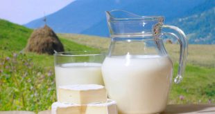 فواید شیر - هر آنچه درباره شیر باید بدانید