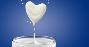 شیر خوردن را فراموش نکنید | شیر کم چرب بهتر است یا پرچرب
