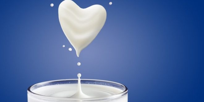 شیر خوردن را فراموش نکنید | شیر کم چرب بهتر است یا پرچرب