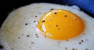 غذاهای مفید برای کبد - آیا خوردن تخم مرغ برای کبد چرب مضر است؟