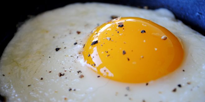 غذاهای مفید برای کبد - آیا خوردن تخم مرغ برای کبد چرب مضر است؟