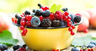 خواص توت - میوه ای فوق العاده برای سلامتی و سرشار از آنتی اکسیدان