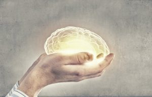 پروبیوتیک چیست - تاثیرات شگفت انگیز مواد غذایی حاوی پروبیوتیک بر سلامت مغز