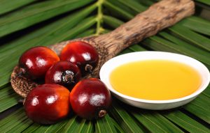 مضرات روغن پالم - در مورد روغن پالم چه می دانید؟