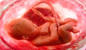 ویار حاملگی و جنسیت جنین