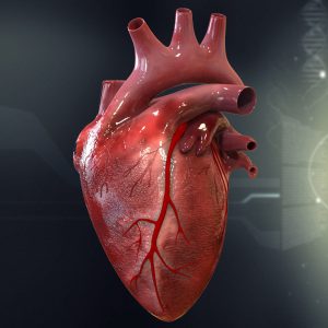 تاثیر فیبر بر سلامت قلب